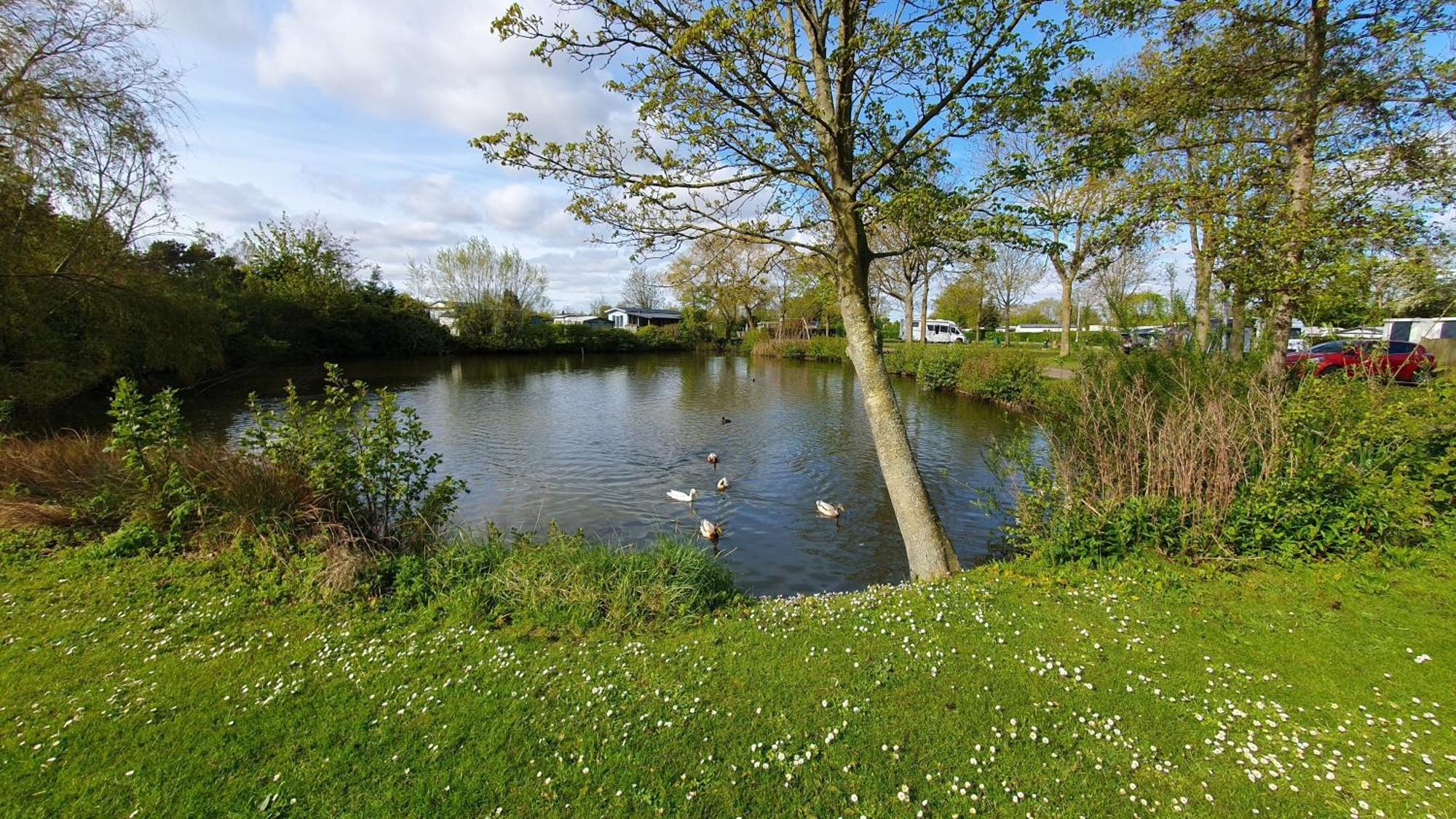 Meer-Brise Burgh-Haamstede Exterior foto